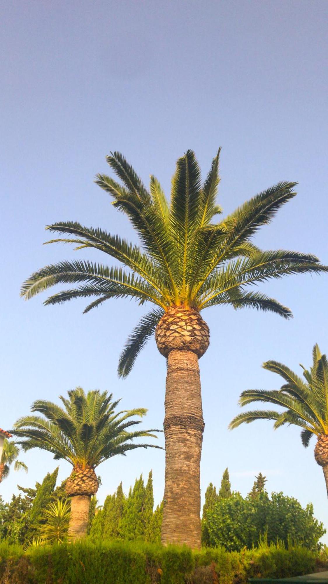 הוילה Denia El Palmar 183 מראה חיצוני תמונה
